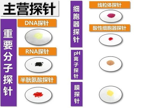 生物醫(yī)藥技術聯(lián)合實驗室 推動醫(yī)藥技術創(chuàng)新的重要平臺