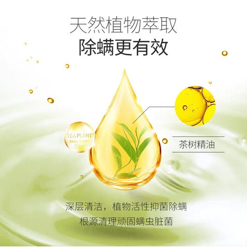 朵拉朵尚小綠皂 植物精華去除螨蟲(chóng)，守護(hù)肌膚清爽無(wú)痘